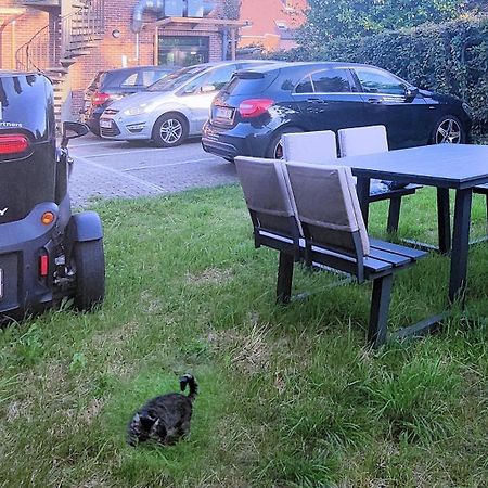 Logeerkamer Xxl 25 M2 Zemst エクステリア 写真