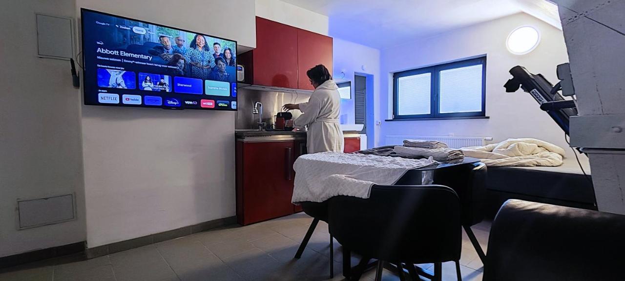 Logeerkamer Xxl 25 M2 Zemst エクステリア 写真