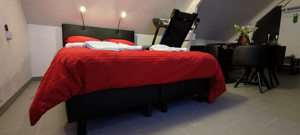 Logeerkamer Xxl 25 M2 Zemst エクステリア 写真
