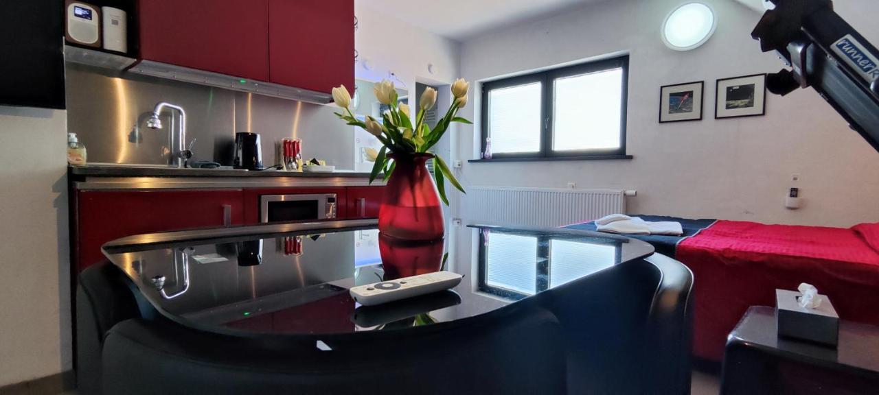 Logeerkamer Xxl 25 M2 Zemst エクステリア 写真